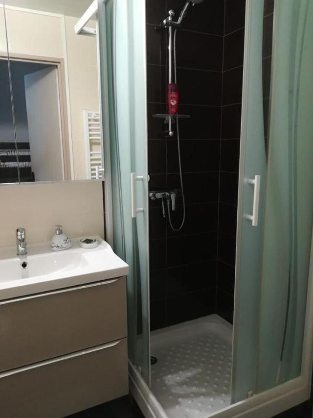 Studio Cabine Vue Port Avec Parking Prive, Piscine, Parc, Boulodrome Agde Dış mekan fotoğraf